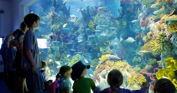 Bristol Aquarium