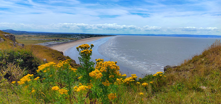 Guided Walks