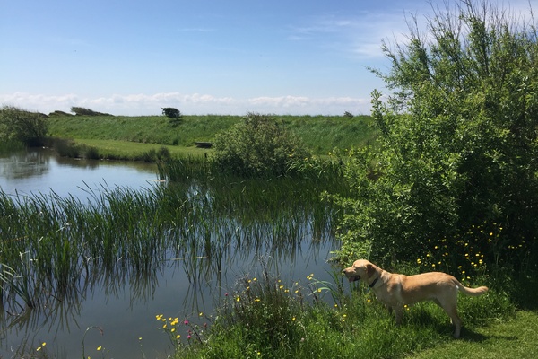 Farm Walk